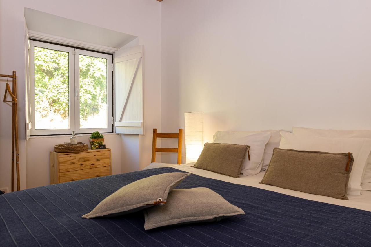 Avo Rosa Guesthouse São João da Ribeira Extérieur photo